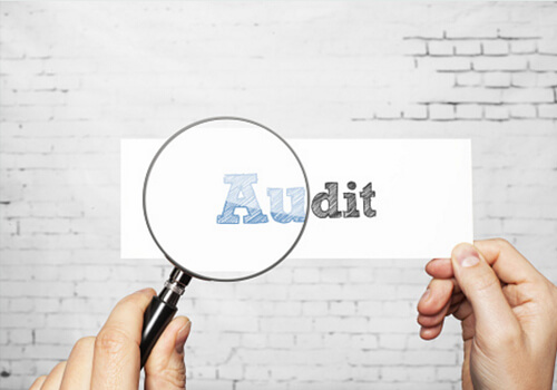 Expatriate tax audits