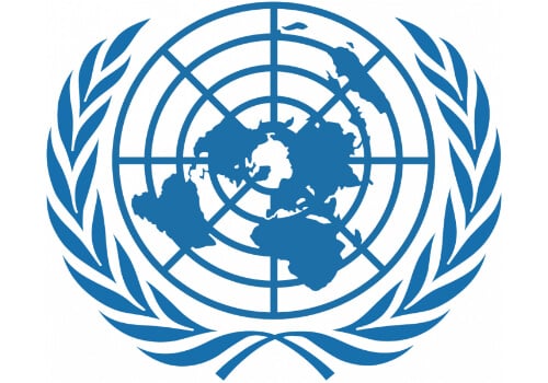 Employees of international organizations