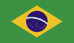 Simple Tax Guide for Americans in Brazil