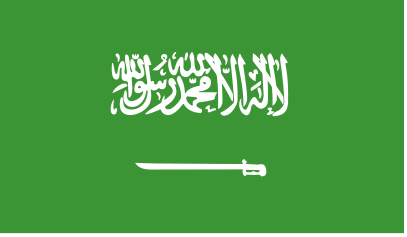 Simple Tax Guide for Americans in Saudi Arabia