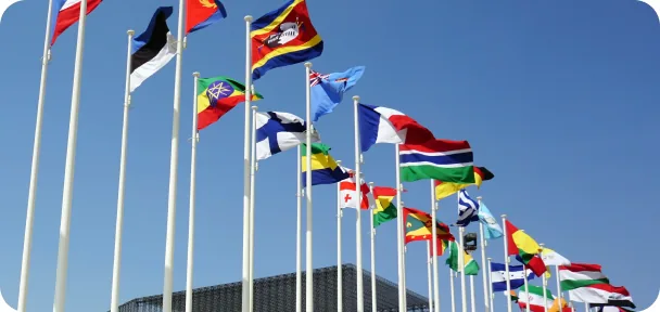 Employees of international organizations